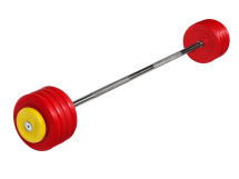 Штанга неразборная "Barbell" с цветными дисками d 25 мм, 47,5 кг Штанга неразборная "Barbell" с цветными дисками d 25 мм, 47,5 кг
