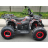 Квадроцикл Motax ATV Grizlik T 200