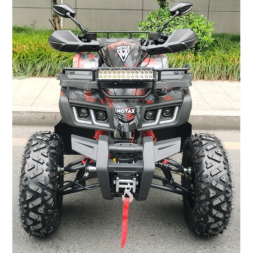 Квадроцикл Motax ATV Grizlik T 200, фото 9
