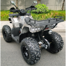 Квадроцикл Motax ATV Grizlik T 200