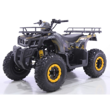 Квадроцикл Motax ATV Grizlik T 200