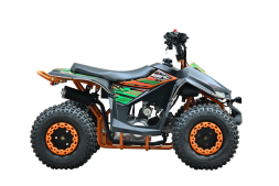 Квадроцикл WELS Tukah 110, фото 5