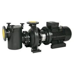 Насос с префильтром Saci Pumps CF-4 400, фото 1