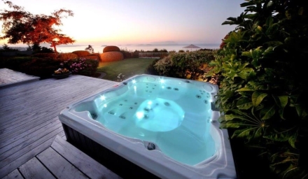 Бассейн СПА гидромассажный Jacuzzi J-245 (213х213х91см.), фото 3