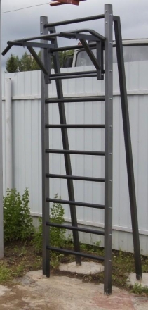 Шведская стенка для улицы EffectSport ПРОФ(У)-ТБ35, фото 1