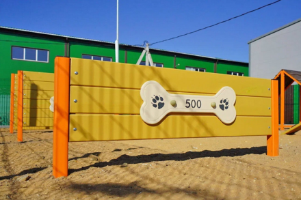 Барьер 500 ДС-1.10 для дрессировки собак, фото 2