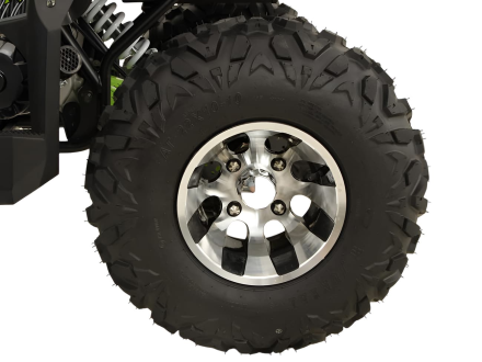 Квадроцикл GRIZZLY 200 Premium, фото 7