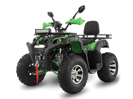 Квадроцикл GRIZZLY 200 Premium, фото 4