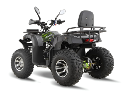 Квадроцикл GRIZZLY 200 Premium, фото 3