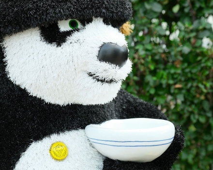 Топиари панда Кунг-фу - газон Eco, фото 3