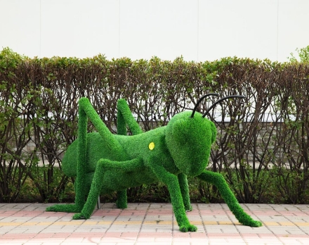 Топиари кузнечик - газон Eco, фото 1