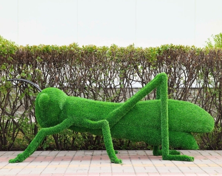 Топиари кузнечик - газон Eco, фото 2