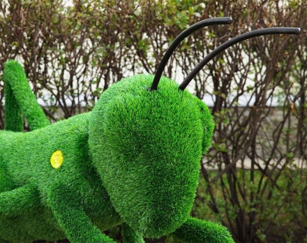 Топиари кузнечик - газон Eco, фото 4