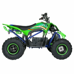 Квадроцикл Motax E-PENTORA 1500W, фото 19