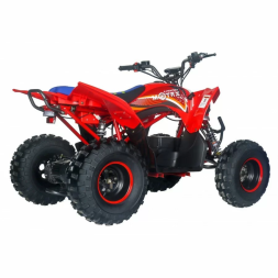 Квадроцикл Motax E-PENTORA 1500W, фото 10