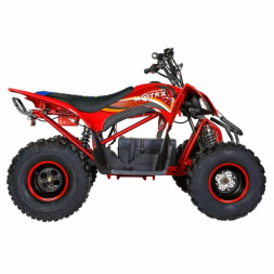 Квадроцикл Motax E-PENTORA 1500W, фото 9
