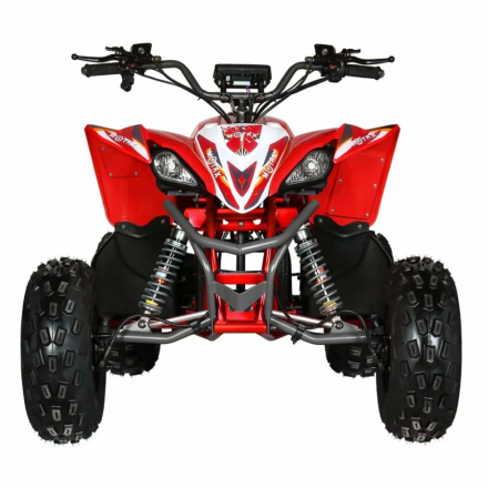 Квадроцикл Motax E-PENTORA 1500W, фото 7