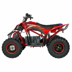 Квадроцикл Motax E-PENTORA 1500W, фото 5