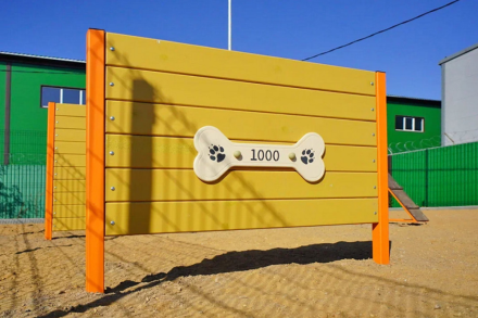 Барьер 1000 ДС-1.11 для дрессировки собак, фото 3