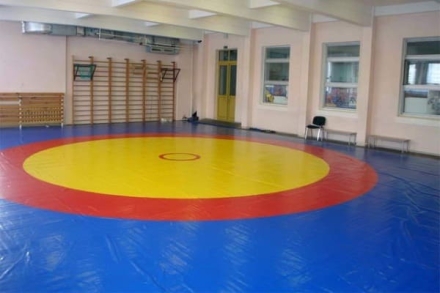 Ковер борцовский трехцветный, наполнитель матов НПЭ 120кг/м3, толщина 5см., размер 10х10м, фото 1