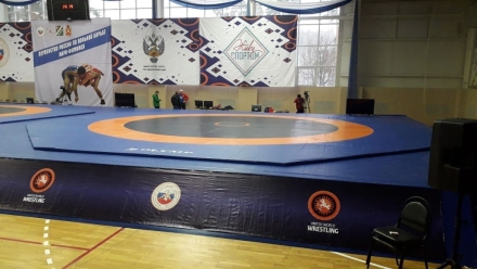 Ковёр борцовский 12х12х0,05 м, эквивалентно пл.160 кг/м3 (ППЭ/НПЭ, трёхцветный) СТП-94, фото 5