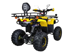 Квадроцикл AVANTIS Patriot Lux, фото 5