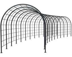 Арка Толлан