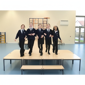 Сцена мобильная, фото 1