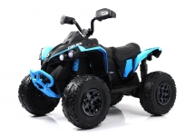 Детский электроквадроцикл BRP Can-Am Renegade (Y333YY) 
