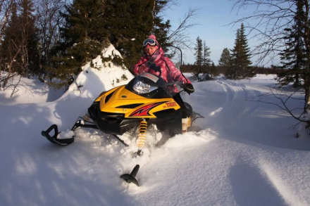Снегоход РУССКАЯ МЕХАНИКА Tiksy 250 Люкс, фото 8