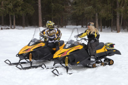 Снегоход РУССКАЯ МЕХАНИКА Tiksy 250 Люкс, фото 7