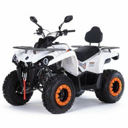 Квадроцикл MOTAX ATV Grizlik 200 Ultra, фото 1