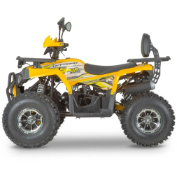 Квадроцикл Dazzle ATV125 Комплектация 2, фото 11 Квадроцикл Dazzle ATV125 Комплектация 2, фото 11