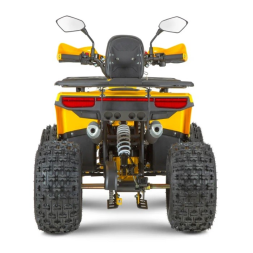 Квадроцикл Dazzle ATV125 Комплектация 2, фото 9 Квадроцикл Dazzle ATV125 Комплектация 2, фото 9