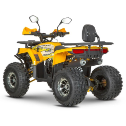 Квадроцикл Dazzle ATV125 Комплектация 2, фото 6 Квадроцикл Dazzle ATV125 Комплектация 2, фото 6