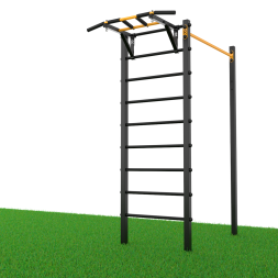 Уличный турник + шведская стенка с турником Record R1W-1 профиль 60х60 х 2 мм, фото 1