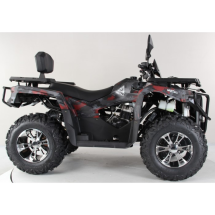 Квадроцикл Motax Grizlik 300