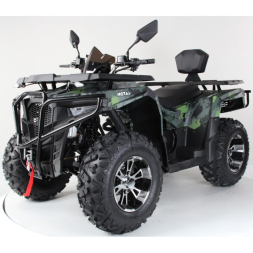 Квадроцикл Motax Grizlik 300, фото 1