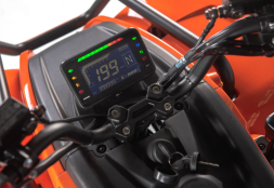 Квадроцикл LINHAI-YAMAHA Z210, фото 4