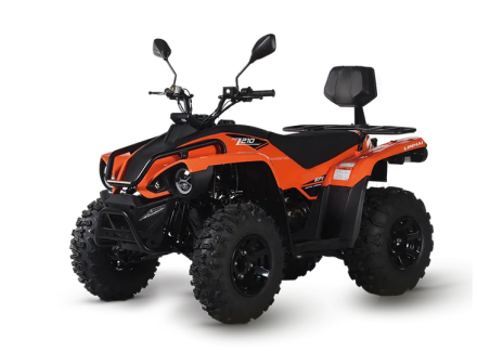 Квадроцикл LINHAI-YAMAHA Z210, фото 1