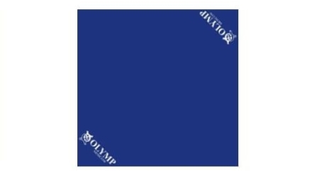 Ковер борцовский «Классика» Одноцветный, фото 1