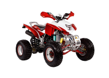 Квадроцикл IRBIS ATV250S