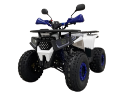 Квадроцикл AVANTIS Optima 8+, фото 1