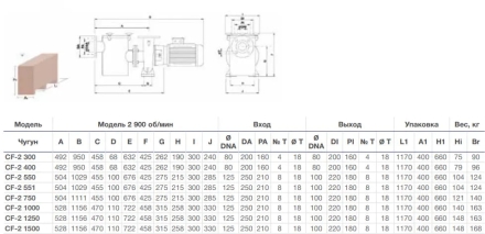 Насос с префильтром Saci Pumps CF-2 300, фото 3