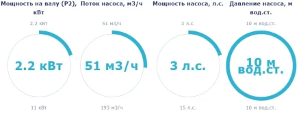 Насос с префильтром Saci Pumps CF-2 300, фото 2