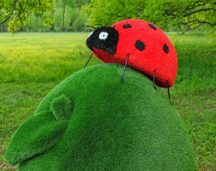 Топиари композиция Божья коровка на яблоке Гренни - газон Eco Green + Eco, фото 3
