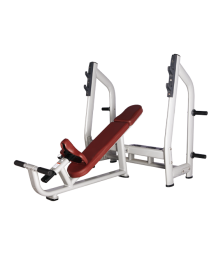 BRONZE GYM H-025_B Скамья для жима наклонная