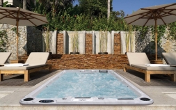 Плавательный спа-бассейн Cal Spas Freestyle F-1437E, фото 2