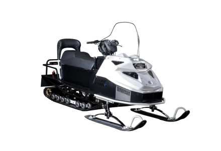 Снегоход БТС Arctic 4Т РК Лонг-Люкс 20 л.с., фото 1