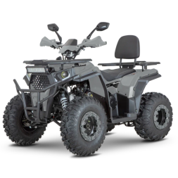 Квадроцикл Dazzle ATV200 Комплектация 1, фото 9 Квадроцикл Dazzle ATV200 Комплектация 1, фото 9